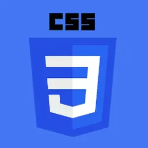 CSS